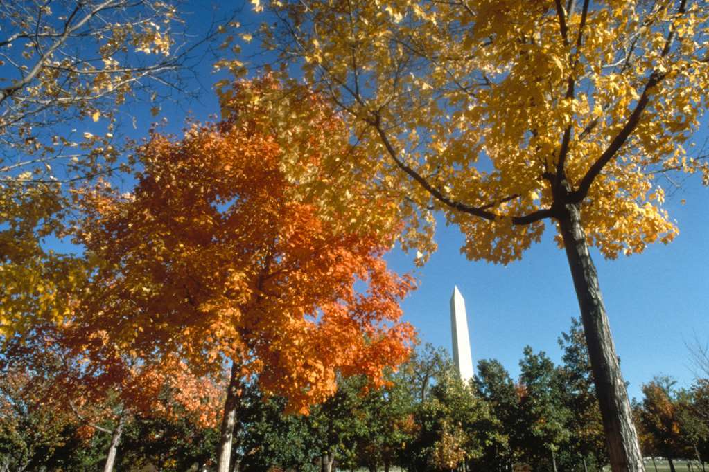 Homewood By Hilton Washington, D.c. Downtown 3*